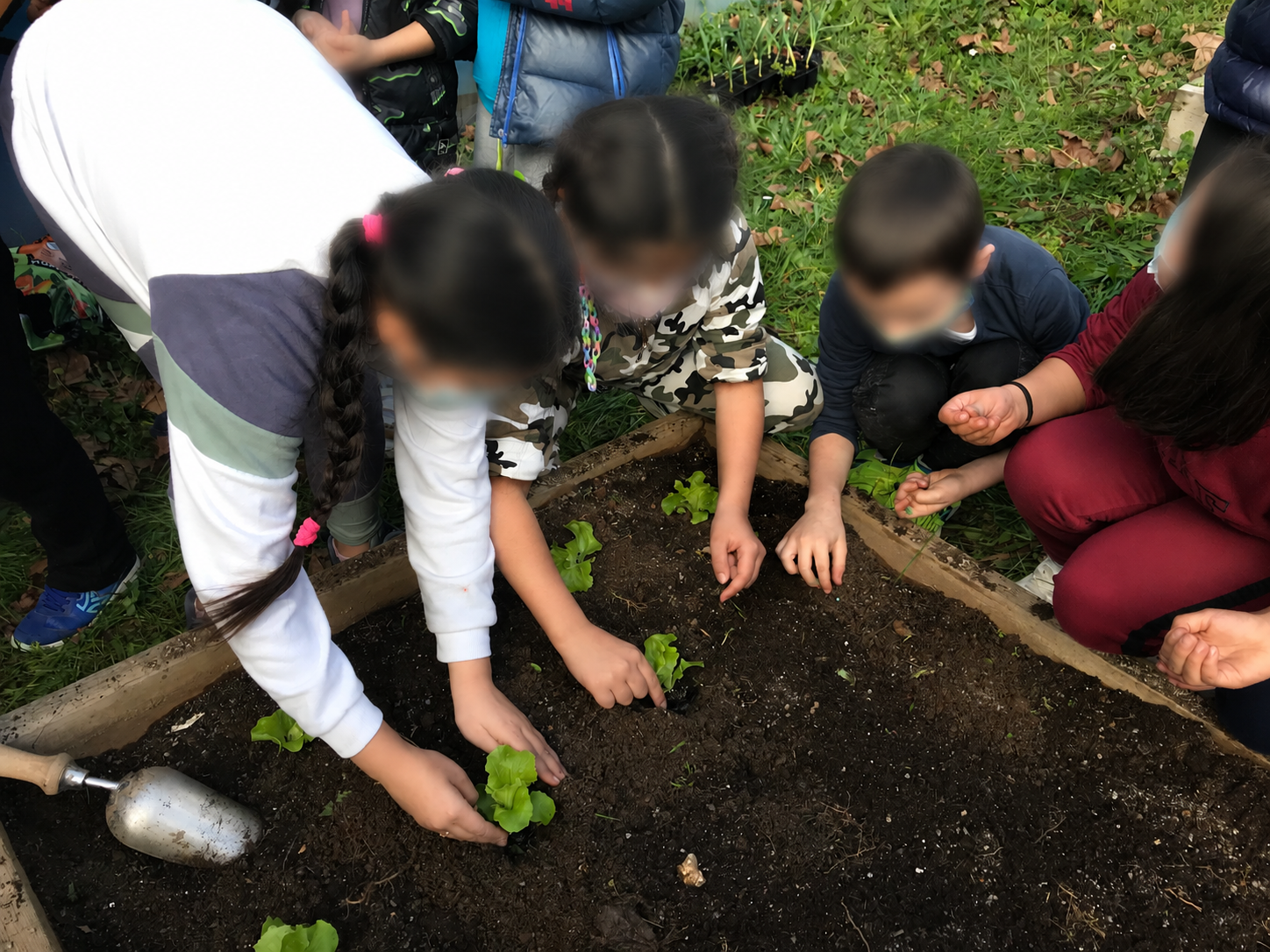 Las Plantas como Seres Vivos